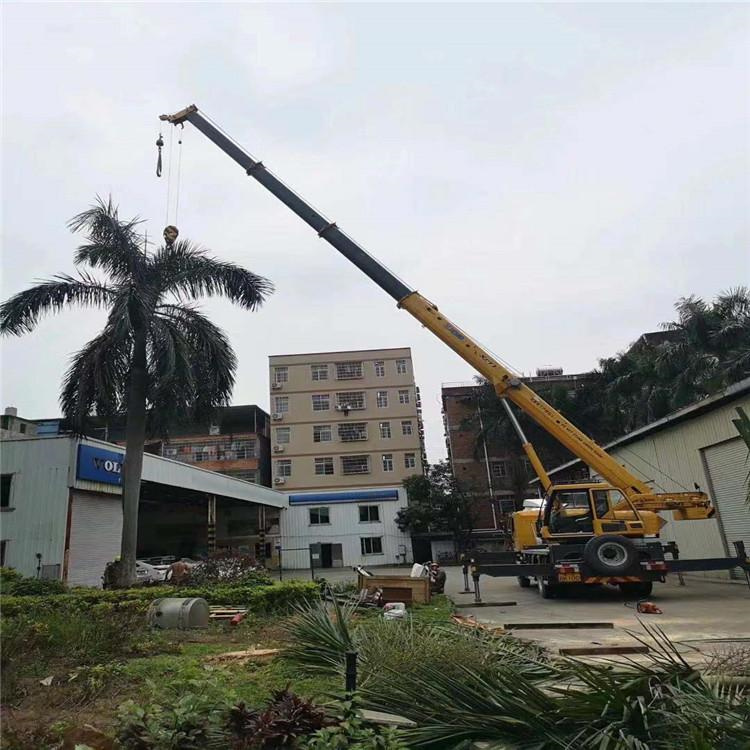 南明汽车吊出租多少钱？全面解析与市场行情